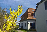 Ferienhaus im Frühling